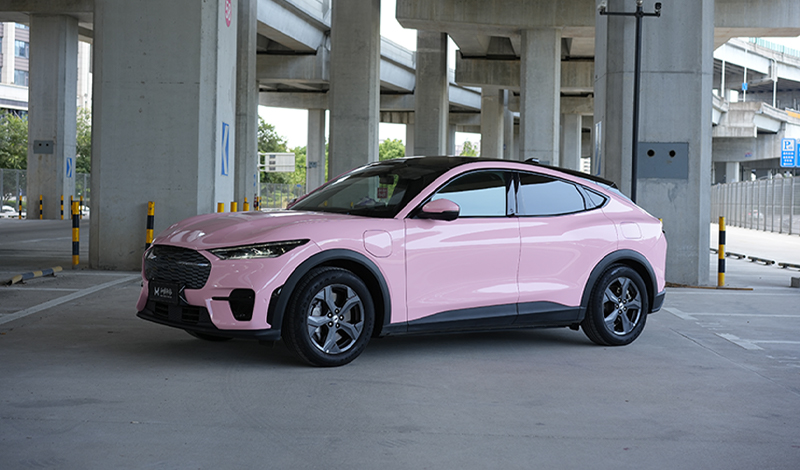 Lolita Pink Metallic